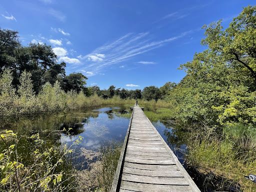 De Maasduinen National Park