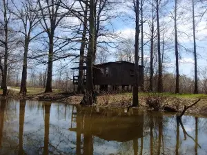 White Crane Canoe Rentals & Guide Service
