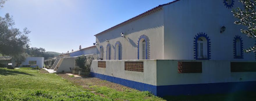 Odysseys - Shop Oeiras
