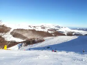 Aremogna