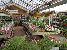Tuincentrum 't Vaarderhoogt