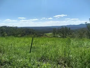 Bellthorpe National Park