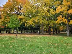 MacNaughton Park Scenic Gardens