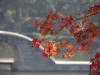 Hiroshima Prefectural Art Museum