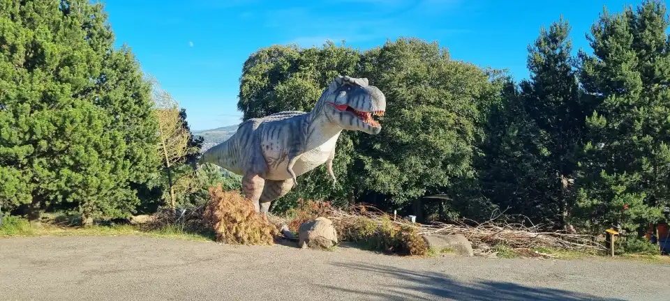 3_Edinburgh Zoo
