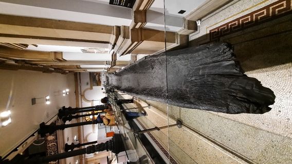 National Museum of Ireland, Kildare Street