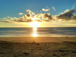 Sunset State Beach