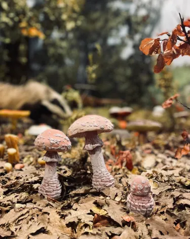 Natural History Museum of Meteora and Mushroom Museum