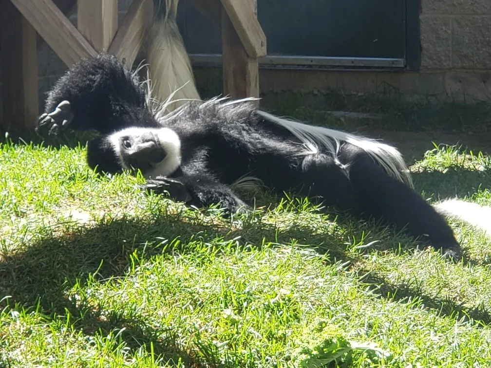 5_Idaho Falls Zoo at Tautphaus Park