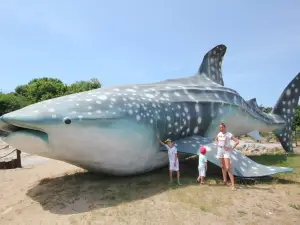 Ocean Park Władysławowo