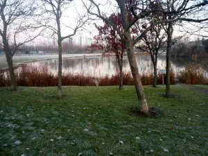 Entorno del Lago
