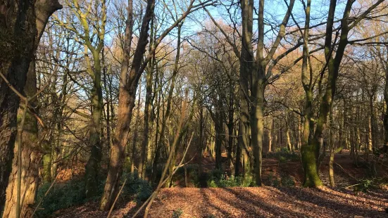 Haigh Woodland Park