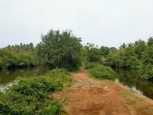 SAROVARAM BIOPARK