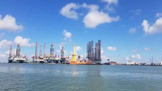 Baywatch Dolphin Tours