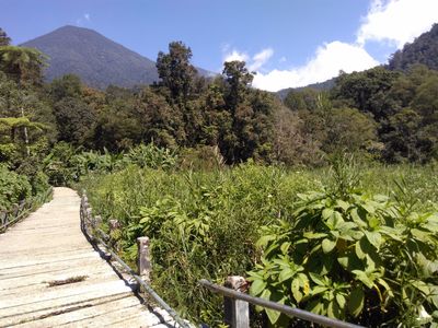 Curug Cibeureum