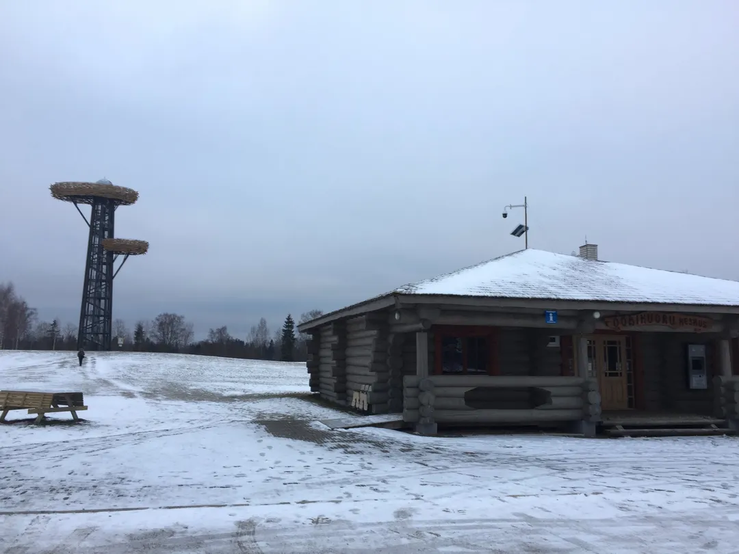 4_Rõuge watchtower "Pesapuu"