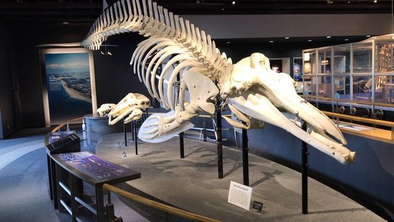 Toyama Science Museum