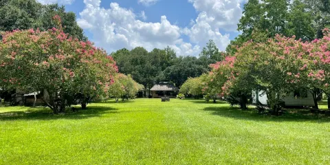 LSU Rural Life Museum