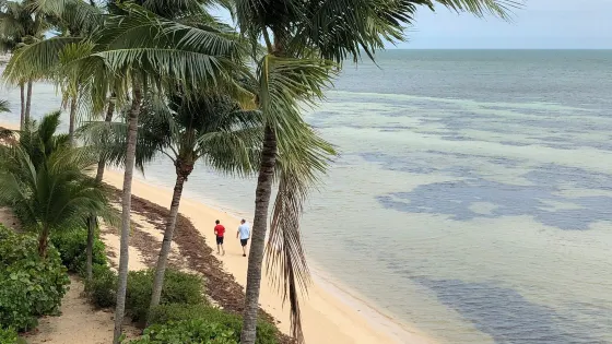 C. B. Harvey Rest Beach Park