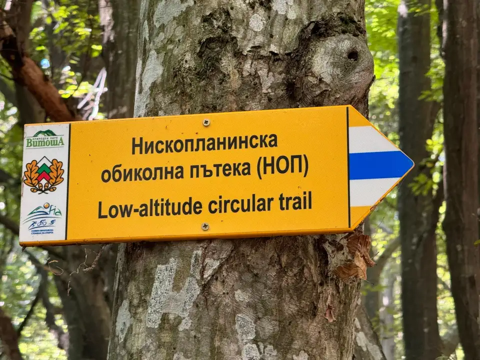 2_Vitosha Mountain