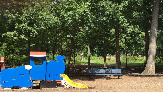 Trailside Park