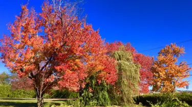 Fredericton