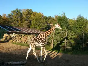 Plzeň Zoo