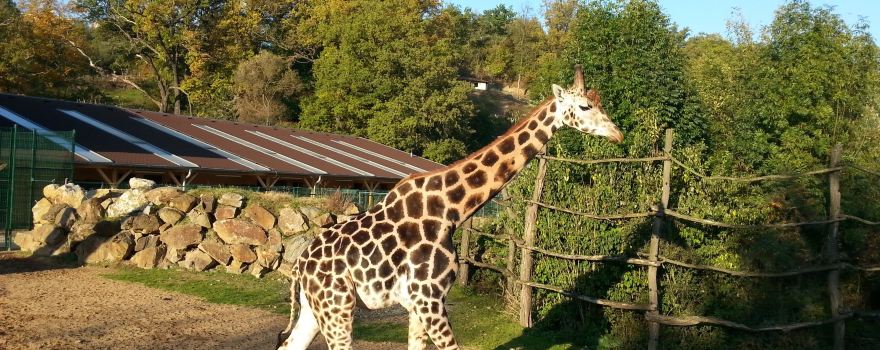 Plzeň Zoo
