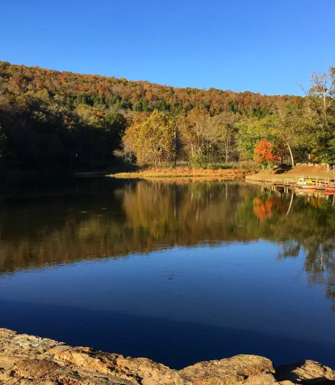 Cove Creek Township