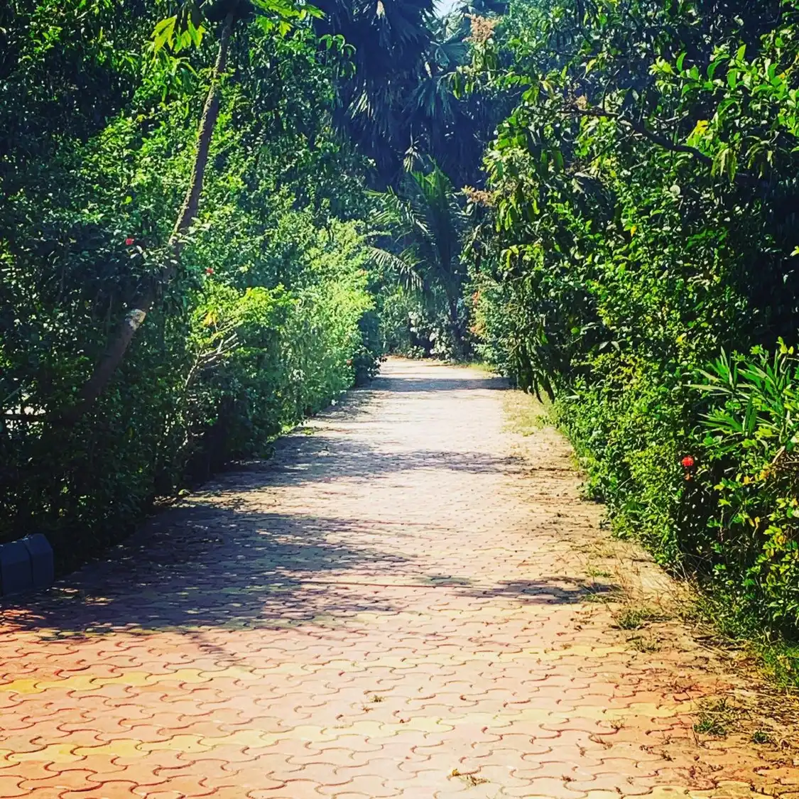 Hotels near Manori Beach