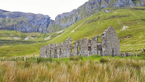 Гленифф Хорсшу