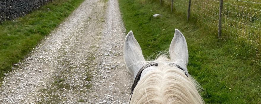 Kilnsey Trekking & Riding Centre