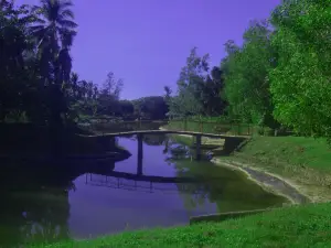 Dasoland