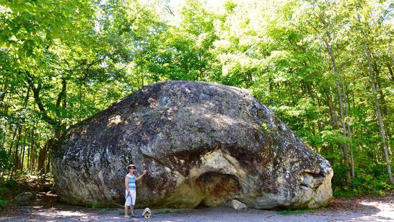 Bleasdell Boulder Conservation Area