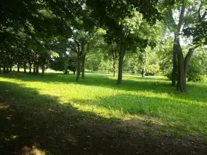 Parco Generale dalla Chiesa