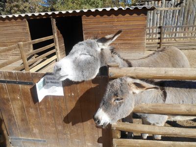 Animal farm of Auriol