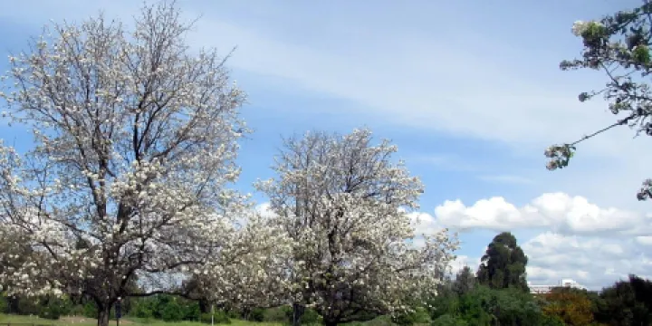 Ulistac Natural Area