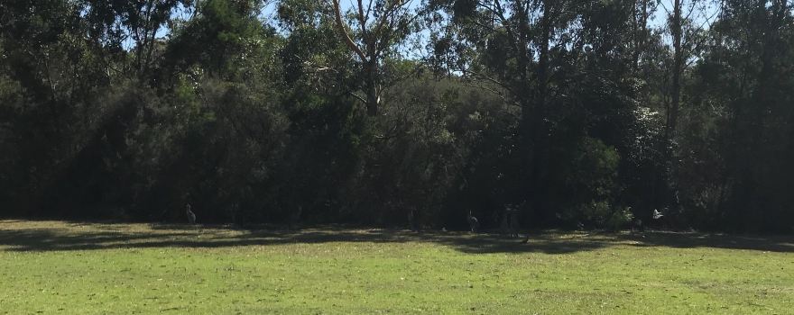 Mandeni Family Fun Park & Golf Centre