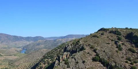 Miradouro Natural do Alto da Sapinha