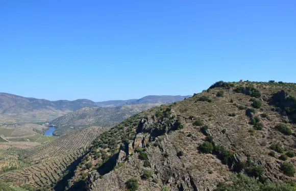 菲蓋拉卡斯特洛羅德里戈