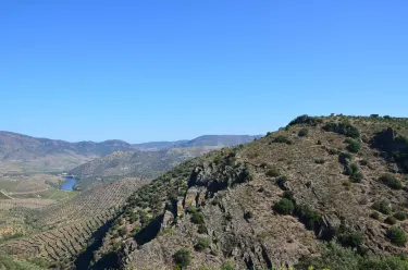 Figueira de Castelo Rodrigo