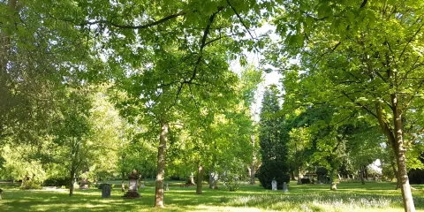 Alter Friedhof