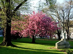 Parc d'Avroy