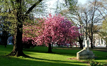 Parque de Avroy