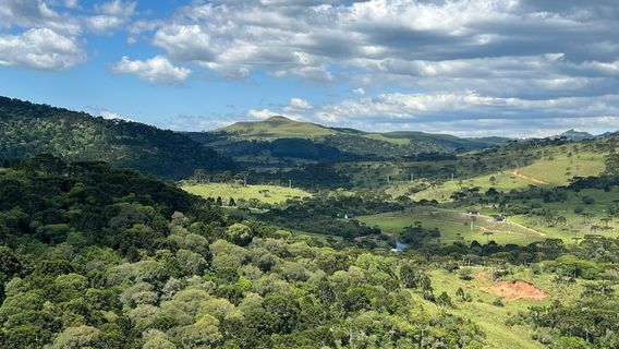 Vinícola Leone di Venezia