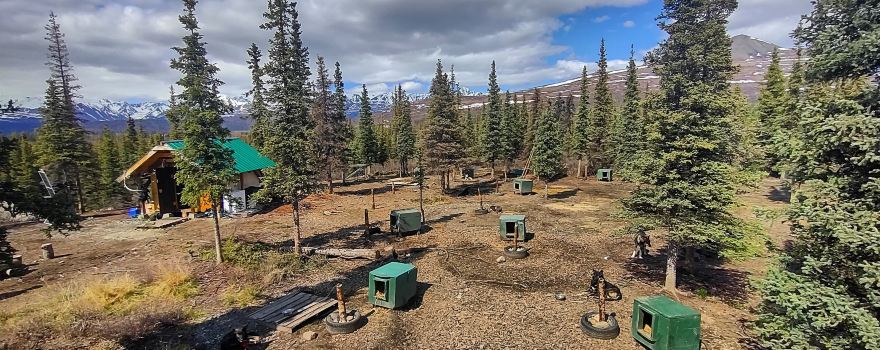 Wildthingz Dog Mushing