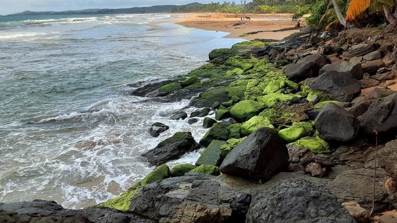 Playa La Pared