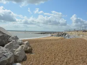 Martello Park