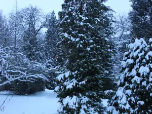 Erdotelki Arboretum