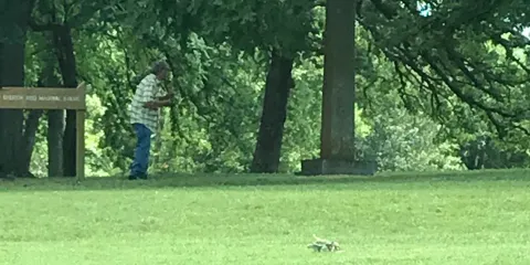 Boggy Depot State Park